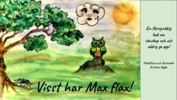 Viss har Max Flax?